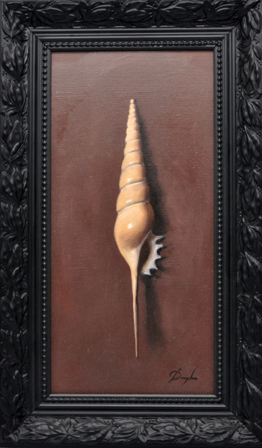 Daniel Douglas + Hoornschelp, glad